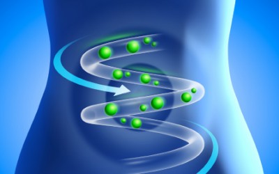 Researchers Report on Wheat Sensitivity in the Absence of Celiac Disease