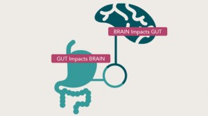 Gut impacts brain